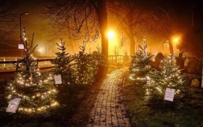 Headcorn Christmas trees
