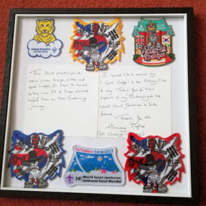 Gold Award and Jamboree badges